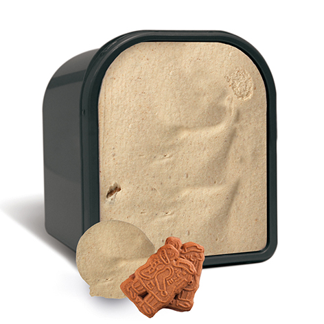 30250018_roomijs_speculaas.png