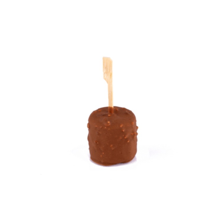 60818900_ferrero_on_a_stick_ijs-1.png