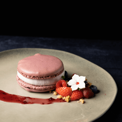 66874105-monodesserts-ijs-ijsmacaron-framboos-detail-2.png