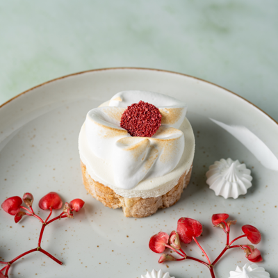 sfeerfoto-65811513-lemon-meringue-ijs-dessert.png