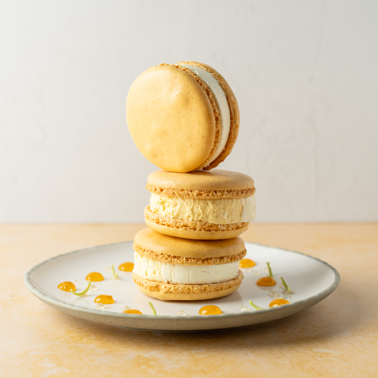 sfeerfoto_66874104_ijsmacaron_mango_passie_1.png