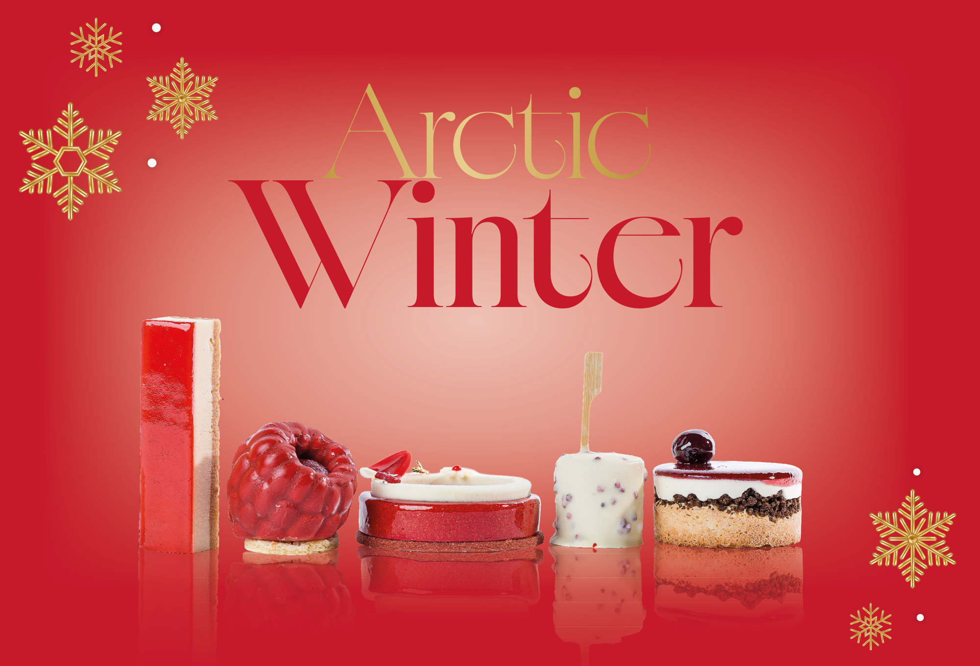 Arctic Winter