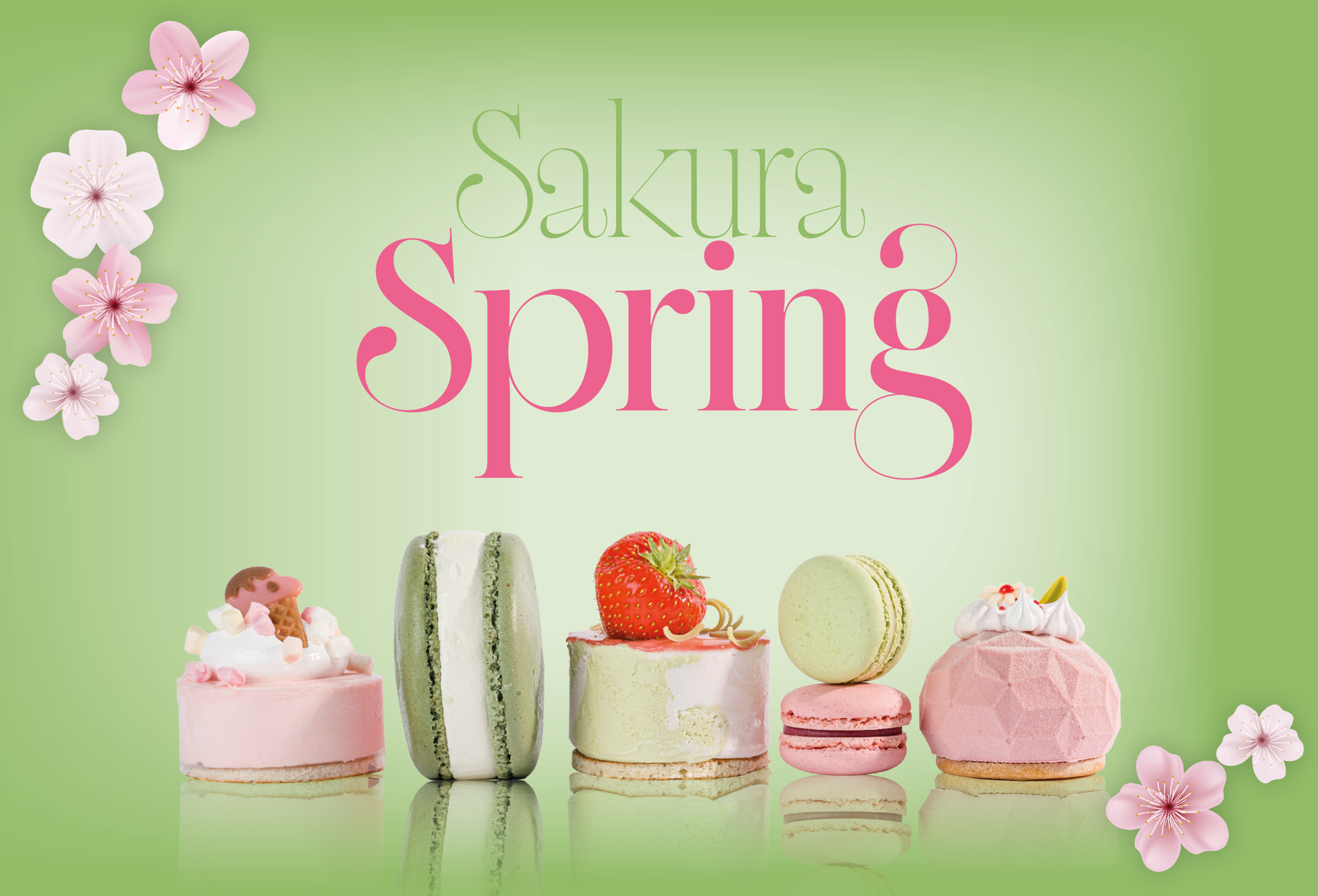 Sakura Spring